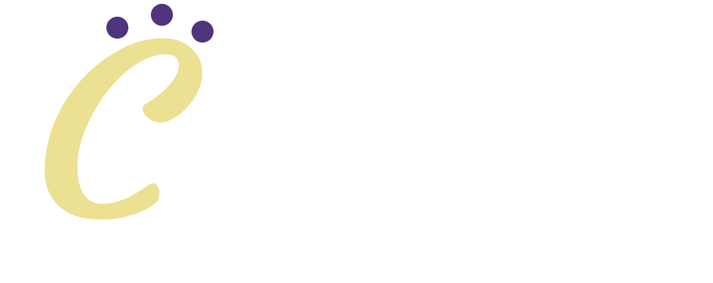 中小企業・個人事業主のホームページ製作ならCOCOROへ